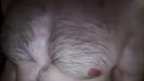 musclehair3 online show from February 2025 08:22:02 PM