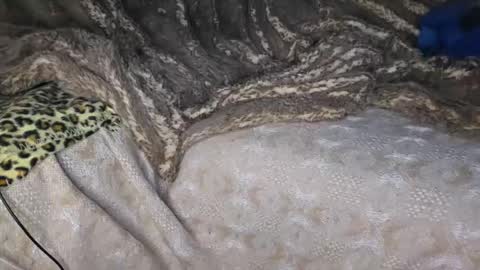 Muzzy online show from April 2026 10:43:02 PM