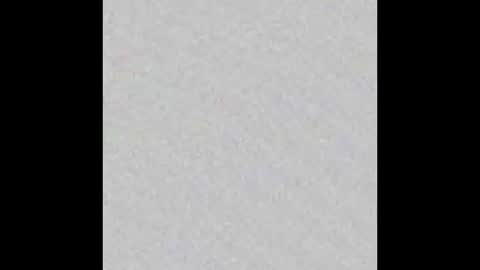 ghost mantis online show from March 2025 10:05:02 PM