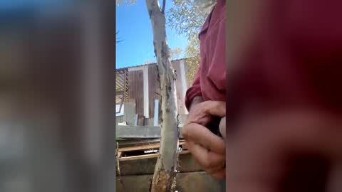 my_cockeye online show from March 2026 05:13:02 AM