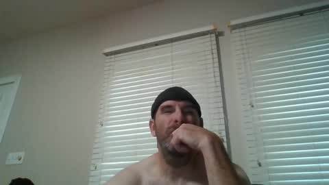 vienna online show from November 2025 09:25:02 PM