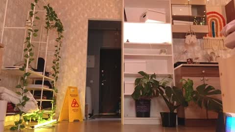  MIA  I will be here Monday Wednesday Thursday Saturday online show from January 2025 03:46:02 PM