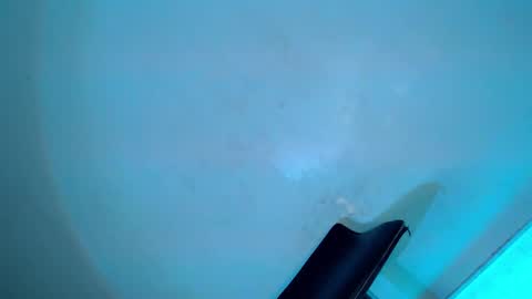 Snapshot of my_other_half chatting on February 2025 08:31:01 AM Serena online show from February 2025 08:31:01 AM