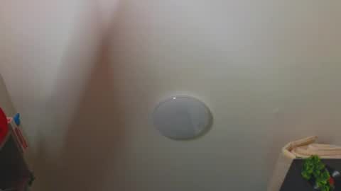  PARIS   online show from December 2024 06:19:02 PM