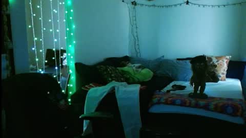 LA MARIPOSA DE MARICOPA online show from February 2025 10:10:01 PM