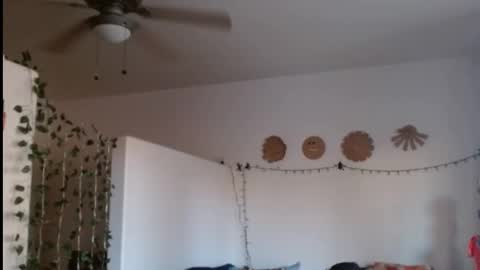 LA MARIPOSA DE MARICOPA online show from February 2025 12:38:02 AM