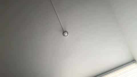 jacke BUNNY online show from March 2025 08:52:01 PM