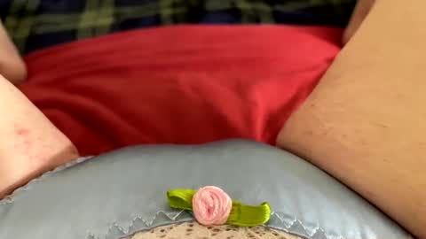 Kitty online show from November 2025 09:55:02 AM