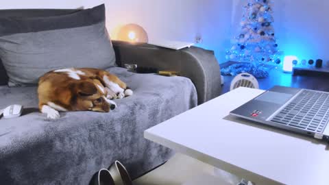 Anda online show from December 2024 10:48:01 PM