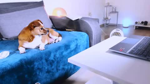 Anda online show from March 2025 01:20:02 AM