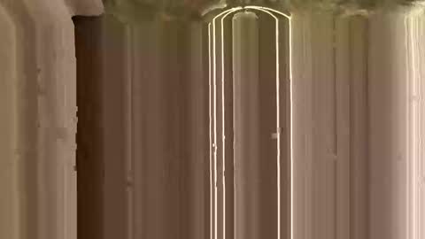 Ricky online show from November 2025 03:12:01 PM