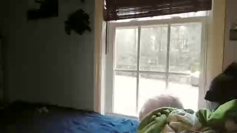 mysexiness0 online show from February 2026 02:39:01 PM