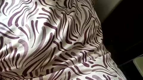 Snapshot of mysolo198777 chatting on January 2026 09:02:02 AM Mysolo1987 online show from January 2026 09:02:02 AM