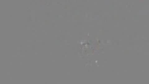 n00beans online show from September 2025 12:02:02 AM