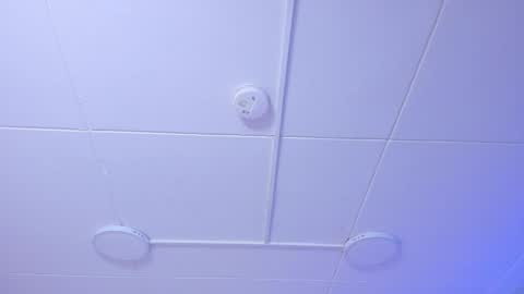 Naenia online show from November 2025 04:00:02 AM