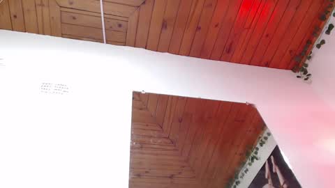 Snapshot of naia_x chatting on February 2025 11:38:02 PM Naia x online show from February 2025 11:38:02 PM