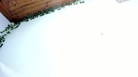 Snapshot of naia_x chatting on March 2025 08:46:02 PM Naia x online show from March 2025 08:46:02 PM