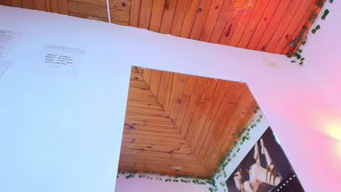 Snapshot of naia_x chatting on February 2026 09:12:02 PM Naia x online show from February 2026 09:12:02 PM