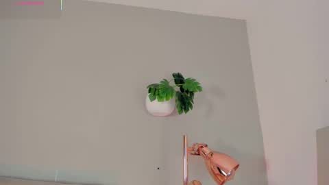 Snapshot of nakamura_san chatting on February 2026 10:52:01 AM INSTAGRAM m2221 online show from February 2026 10:52:01 AM