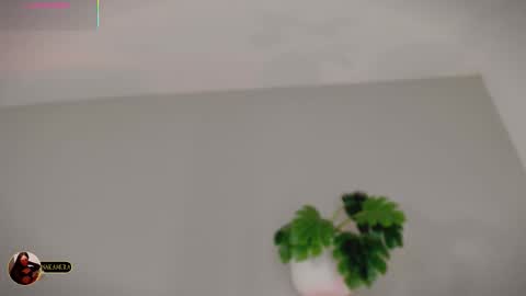 Snapshot of nakamura_san chatting on March 2026 09:59:02 AM INSTAGRAM m2221 online show from March 2026 09:59:02 AM