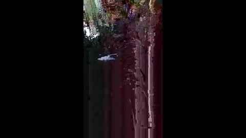 nakedbear108 online show from May 2026 07:50:02 AM