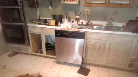 nakednate1780 online show from December 2024 01:29:01 AM