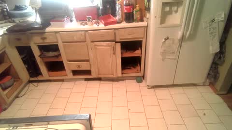 nakednate1780 online show from December 2024 02:23:02 PM