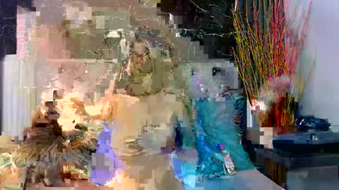 NALAROY online show from December 2024 07:55:01 PM