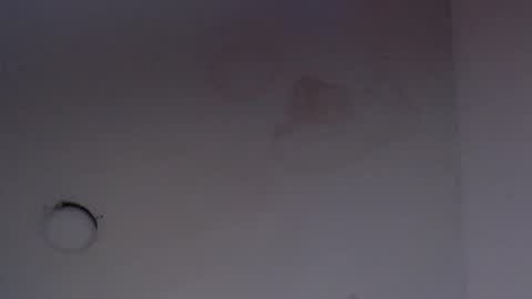 NALAROY online show from March 2025 06:51:01 AM