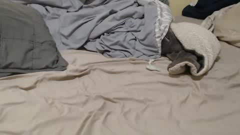 nalitonude online show from December 2024 12:03:02 AM