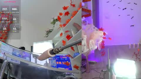 INSTAGRAM     bekkercat  online show from November 2025 12:28:01 PM