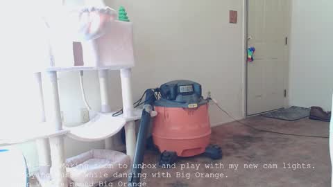 Nanna Baldur online show from December 2025 04:01:01 PM