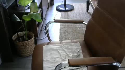 Snapshot of nareth338 chatting on September 2025 08:42:02 PM nareth338 online show from September 2025 08:42:02 PM