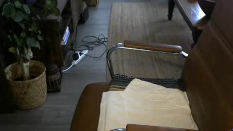 nareth338 online show from April 2026 02:50:01 PM