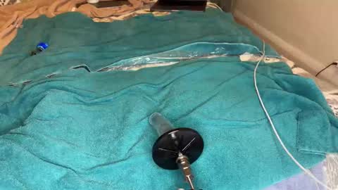 nastyknave online show from October 2025 04:00:02 AM