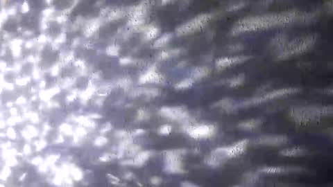 nastysubs69 online show from December 2025 09:49:01 AM