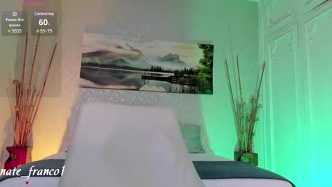 Snapshot of nate_franco chatting on February 2025 08:39:01 PM Nate Franco online show from February 2025 08:39:01 PM