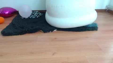 nath_dawson online show from February 2025 02:00:01 PM