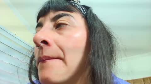 Kitten online show from September 2025 11:37:01 AM