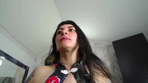 Kitten online show from December 2025 11:07:01 AM