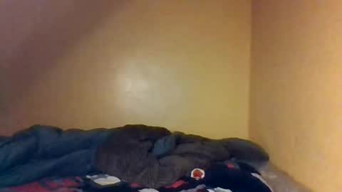 Bree doll online show from April 2026 08:39:01 PM