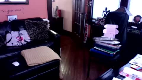 naughtybone online show from January 2025 03:46:02 PM