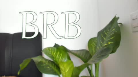 Nayah Williams  - OnlyFans  online show from December 2024 04:36:01 PM