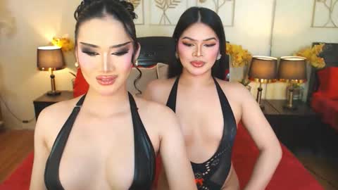 F R A N Z I A online show from December 2025 02:54:02 AM