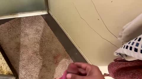 nbarrie98 online show from December 2024 04:25:01 PM