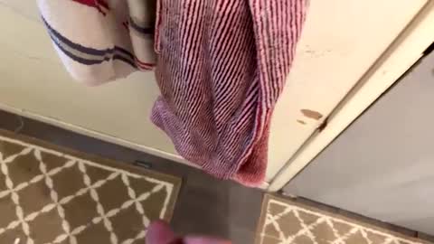 nbarrie98 online show from February 2025 04:18:01 PM