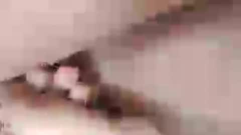 negrett_ online show from June 2026 05:03:04 PM