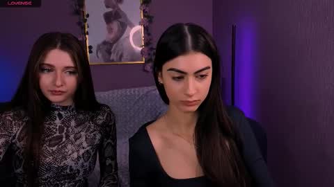 Meow online show from December 2025 10:33:01 AM