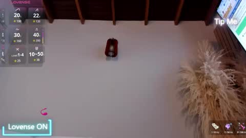 Jordan online show from December 2025 12:24:02 PM