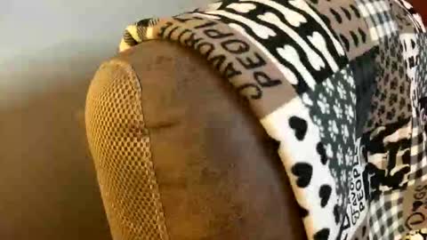 neverwinter44 online show from March 2026 06:06:01 AM